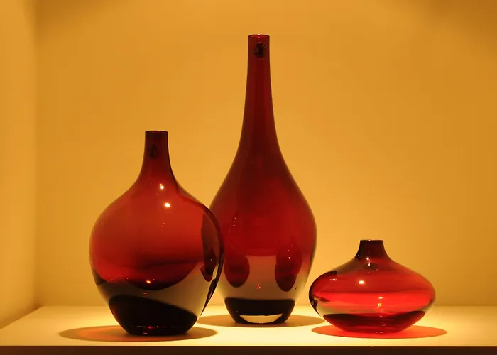 埃克塞斯尔露台酒店 酒店 4*