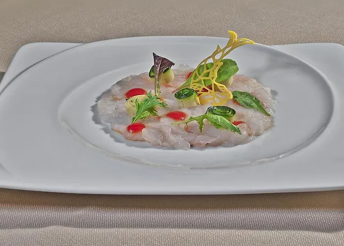 埃克塞斯尔露台酒店 酒店